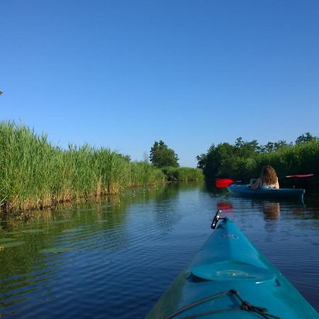B&B De Zilverreiger Belt-Schutsloot Ngoại thất bức ảnh