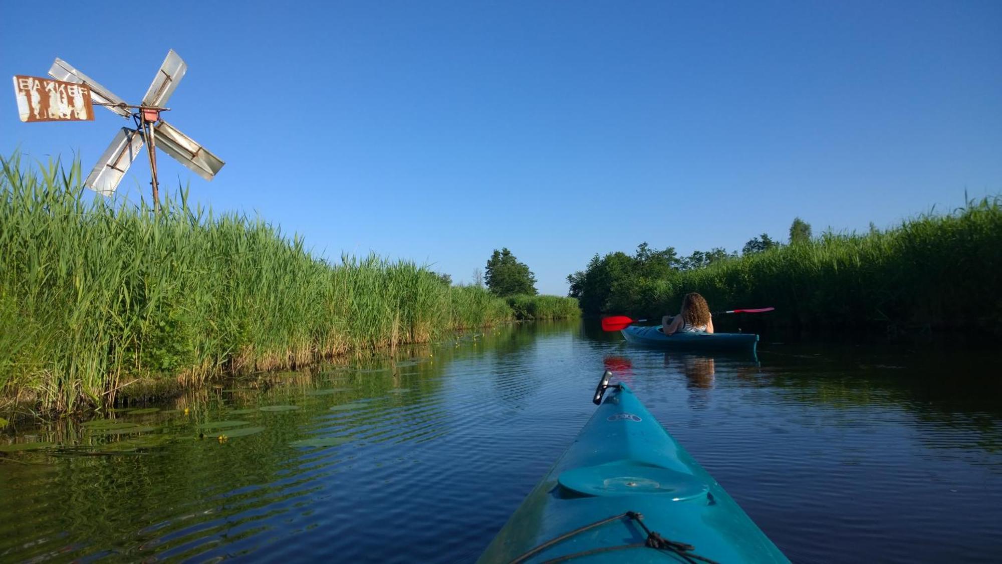 B&B De Zilverreiger Belt-Schutsloot Ngoại thất bức ảnh